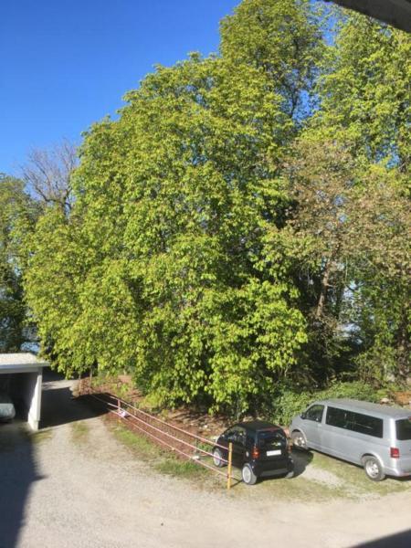 Bodensee Moosburg Biohof am See Güttingen Exterior foto